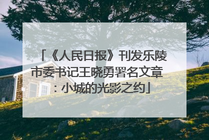 《人民日报》刊发乐陵市委书记王晓勇署名文章：小城的光影之约