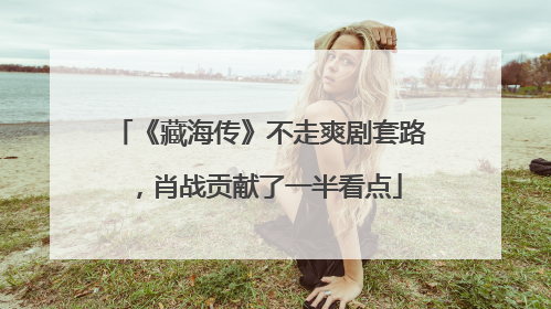 《藏海传》不走爽剧套路，肖战贡献了一半看点