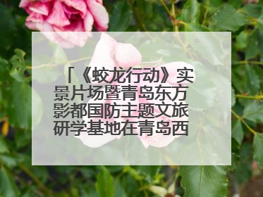 《蛟龙行动》实景片场暨青岛东方影都国防主题文旅研学基地在青岛西海岸新区开业