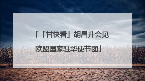 「甘快看」胡昌升会见欧盟国家驻华使节团