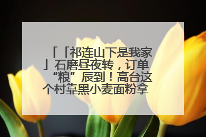「祁连山下是我家」石磨昼夜转，订单“粮”辰到！高台这个村靠黑小麦面粉拿下成立来最大订单