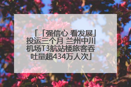 「强信心 看发展」投运三个月 兰州中川机场T3航站楼旅客吞吐量超434万人次