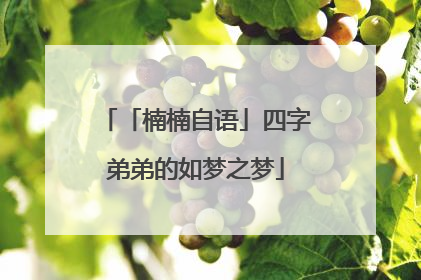 「楠楠自语」四字弟弟的如梦之梦
