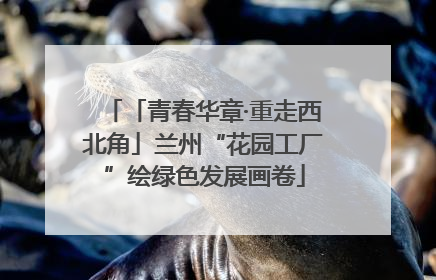 「青春华章·重走西北角」兰州“花园工厂”绘绿色发展画卷