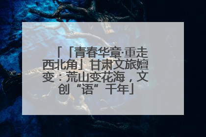 「青春华章·重走西北角」甘肃文旅嬗变：荒山变花海，文创“语”千年