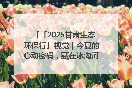 「2025甘肃生态环保行」视觉｜今夏的心动密码，藏在冰沟河的潋滟波光里