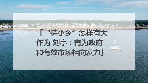 “特小乡”怎样有大作为 刘亭：有为政府和有效市场相向发力