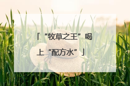 “牧草之王”喝上“配方水”