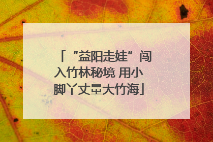 “益阳走娃”闯入竹林秘境 用小脚丫丈量大竹海