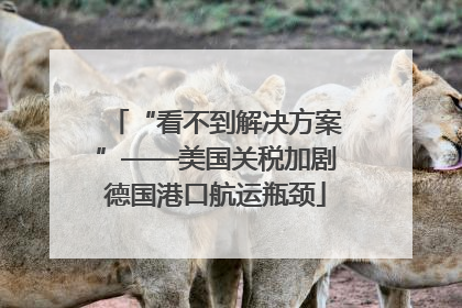 “看不到解决方案”——美国关税加剧德国港口航运瓶颈