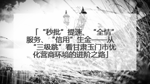 “秒批”提速、“全情”服务、“信用”生金——从“三级跳”看甘肃玉门市优化营商环境的进阶之路