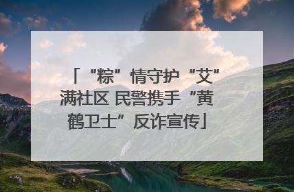 “粽”情守护“艾”满社区 民警携手“黄鹤卫士”反诈宣传