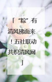 “粽”有清风拂面来！五社联动共织清风网