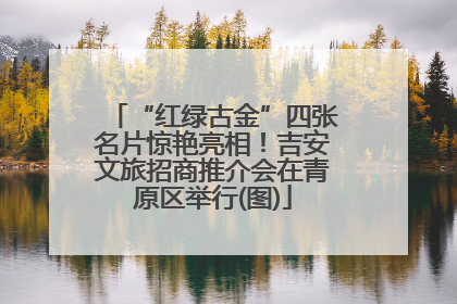 “红绿古金”四张名片惊艳亮相！吉安文旅招商推介会在青原区举行(图)