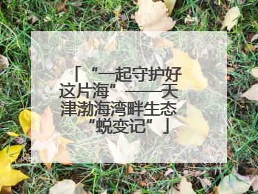 “一起守护好这片海”——天津渤海湾畔生态“蜕变记”