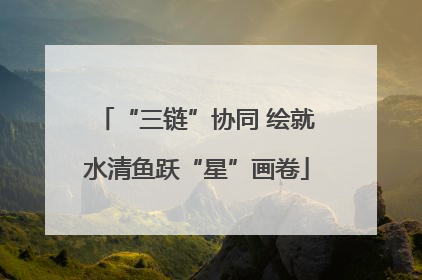 “三链”协同 绘就水清鱼跃“星”画卷