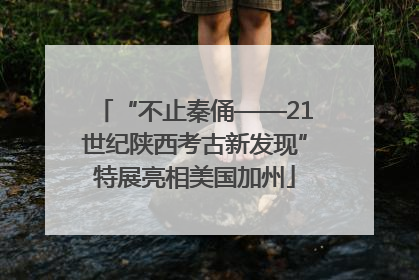 “不止秦俑——21世纪陕西考古新发现”特展亮相美国加州