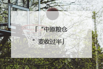 “中原粮仓”麦收过半