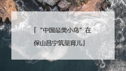 “中国最美小鸟”在保山昌宁筑巢育儿