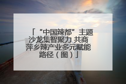 “中国辣都”主题沙龙集智聚力 共商萍乡辣产业多元赋能路径（图）