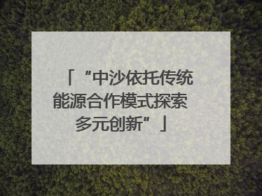 “中沙依托传统能源合作模式探索多元创新”