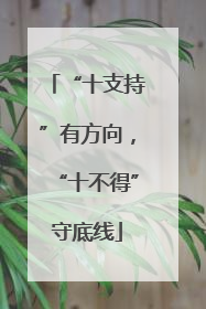 “十支持”有方向，“十不得”守底线