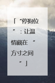 “停狗位 ”：让温情藏在 “方寸之间 ”