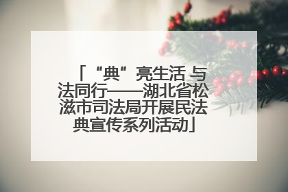 “典”亮生活 与法同行——湖北省松滋市司法局开展民法典宣传系列活动