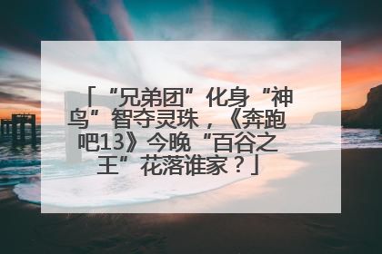 “兄弟团”化身“神鸟”智夺灵珠，《奔跑吧13》今晚“百谷之王”花落谁家？