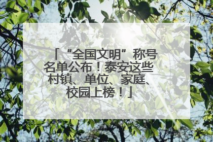 “全国文明”称号名单公布！泰安这些村镇、单位、家庭、校园上榜！