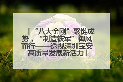 “八大金刚”聚链成势，“制造铁军”御风而行——透视深圳宝安高质量发展新活力