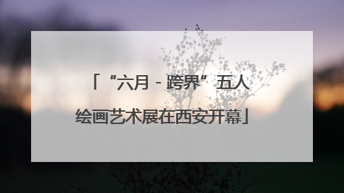 “六月 - 跨界”五人绘画艺术展在西安开幕