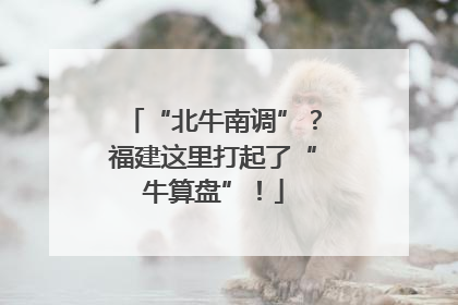 “北牛南调”？福建这里打起了“牛算盘”！