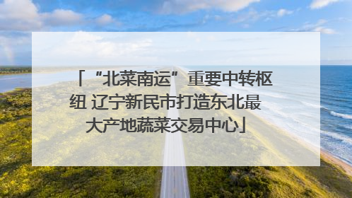 “北菜南运”重要中转枢纽 辽宁新民市打造东北最大产地蔬菜交易中心