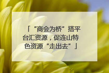 “商会为桥”搭平台汇资源，促连山特色资源“走出去”