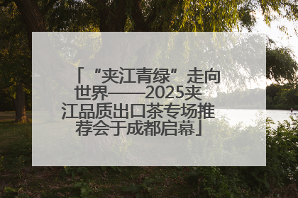 “夹江青绿”走向世界——2025夹江品质出口茶专场推荐会于成都启幕