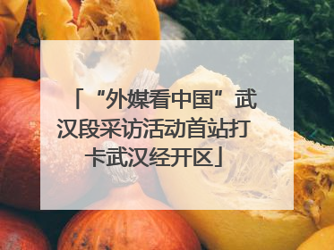 “外媒看中国”武汉段采访活动首站打卡武汉经开区