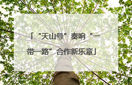 “天山号”奏响“一带一路”合作新乐章