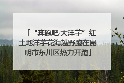 “奔跑吧·大洋芋”红土地洋芋花海越野跑在昆明市东川区热力开跑