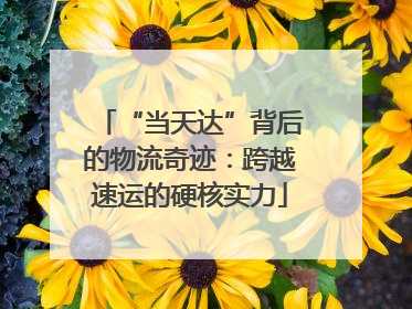“当天达”背后的物流奇迹：跨越速运的硬核实力