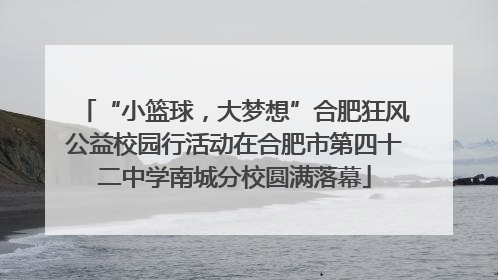 “小篮球，大梦想”合肥狂风公益校园行活动在合肥市第四十二中学南城分校圆满落幕