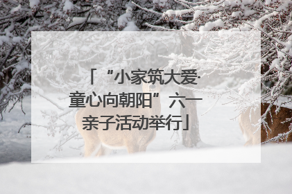 “小家筑大爱·童心向朝阳”六一亲子活动举行