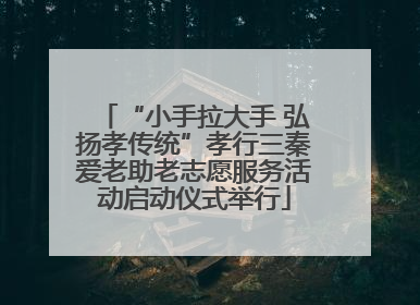 “小手拉大手 弘扬孝传统”孝行三秦爱老助老志愿服务活动启动仪式举行