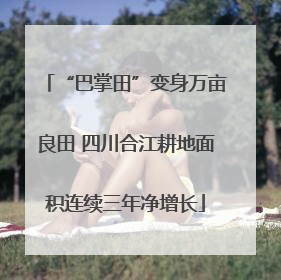 “巴掌田”变身万亩良田 四川合江耕地面积连续三年净增长