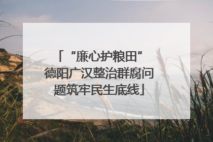“廉心护粮田” 德阳广汉整治群腐问题筑牢民生底线