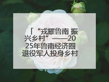 “戎耀鲁南 振兴乡村”——2025年鲁南经济圈退役军人投身乡村振兴成果展销会盛大启幕