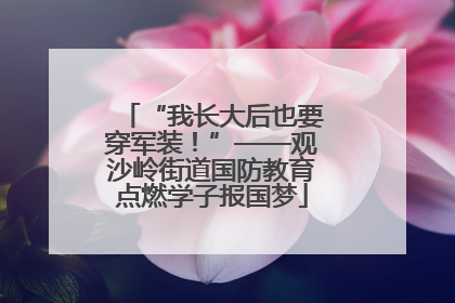 “我长大后也要穿军装！”——观沙岭街道国防教育点燃学子报国梦