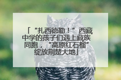 “扎西德勒！”西藏中学的孩子们遇上藏族同胞，“高原红石榴”绽放荆楚大地
