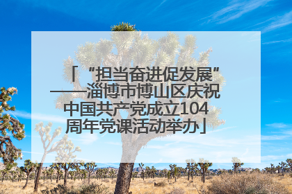 “担当奋进促发展”——淄博市博山区庆祝中国共产党成立104周年党课活动举办
