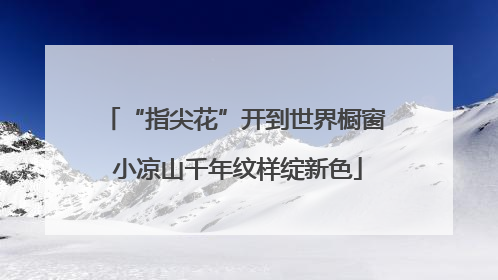 “指尖花”开到世界橱窗 小凉山千年纹样绽新色